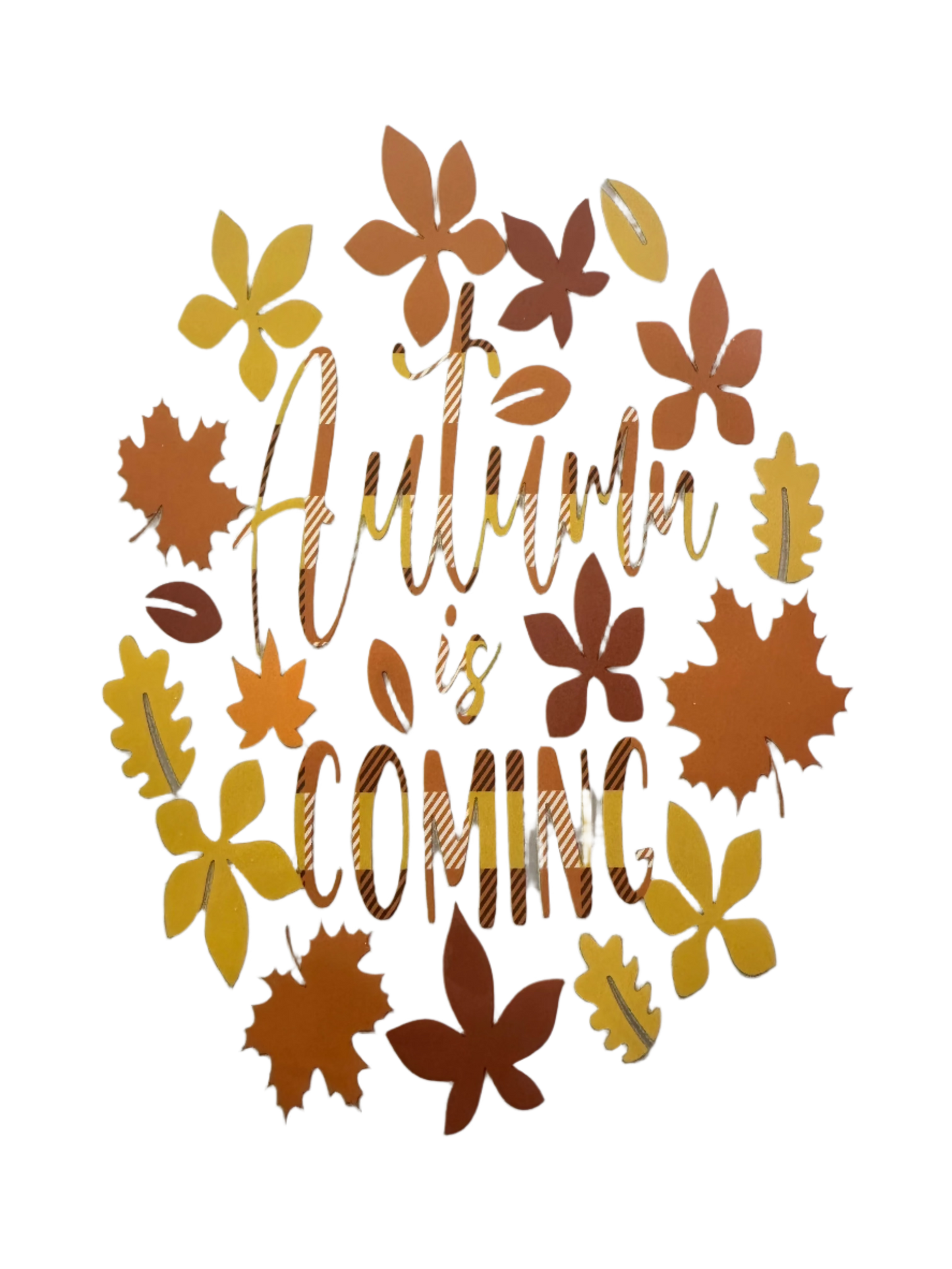 FALL T-SHIRTS/ LONG SLEEVE