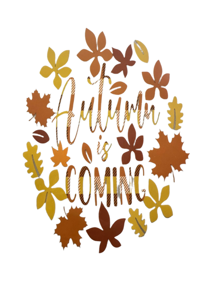 FALL T-SHIRTS/ LONG SLEEVE