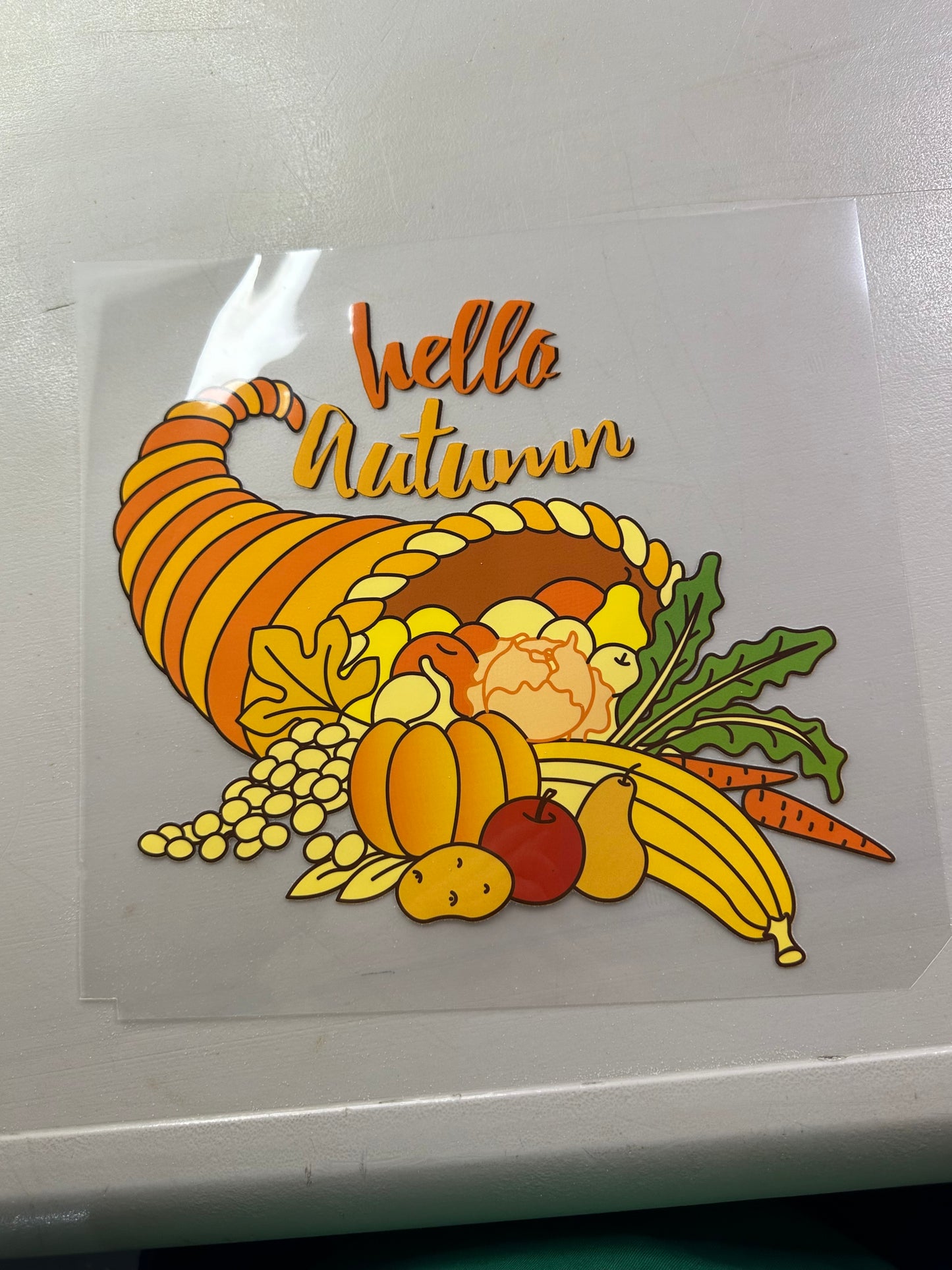 FALL T-SHIRTS/ LONG SLEEVE